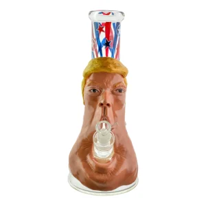 Donald J Bong - 13in
